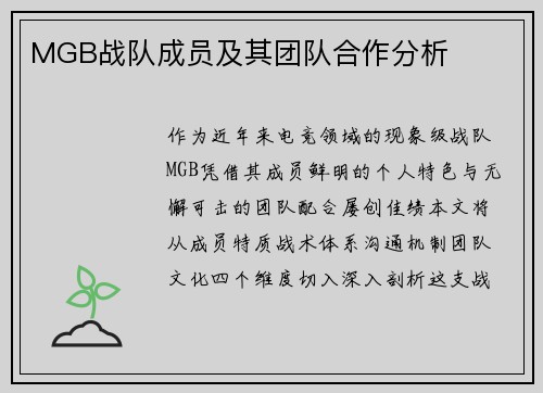 MGB战队成员及其团队合作分析