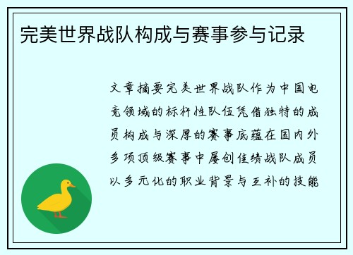 完美世界战队构成与赛事参与记录