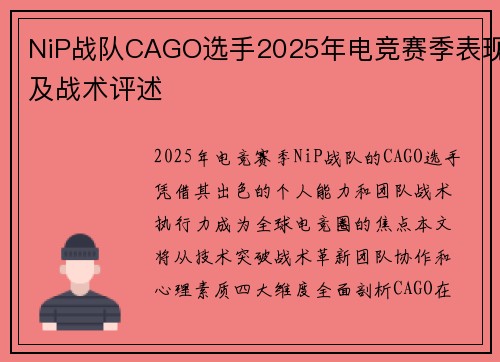 NiP战队CAGO选手2025年电竞赛季表现及战术评述